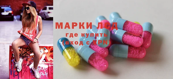 гашик Аркадак
