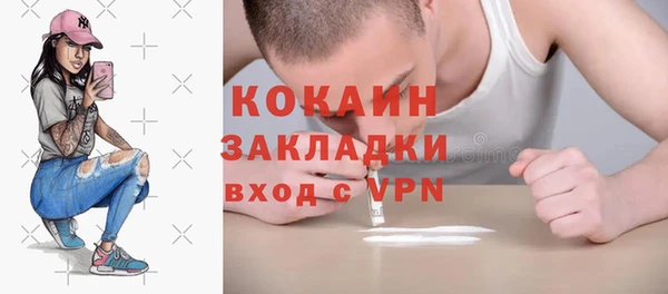 гашик Аркадак