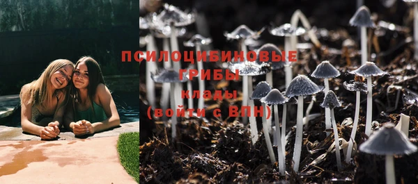 гашик Аркадак