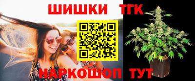индика Новодвинск