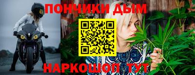 индика Новодвинск