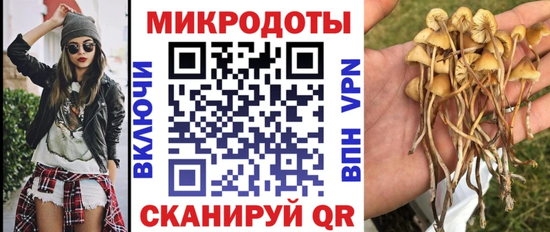 Галлюциногенные грибы GOLDEN TEACHER  Георгиевск 