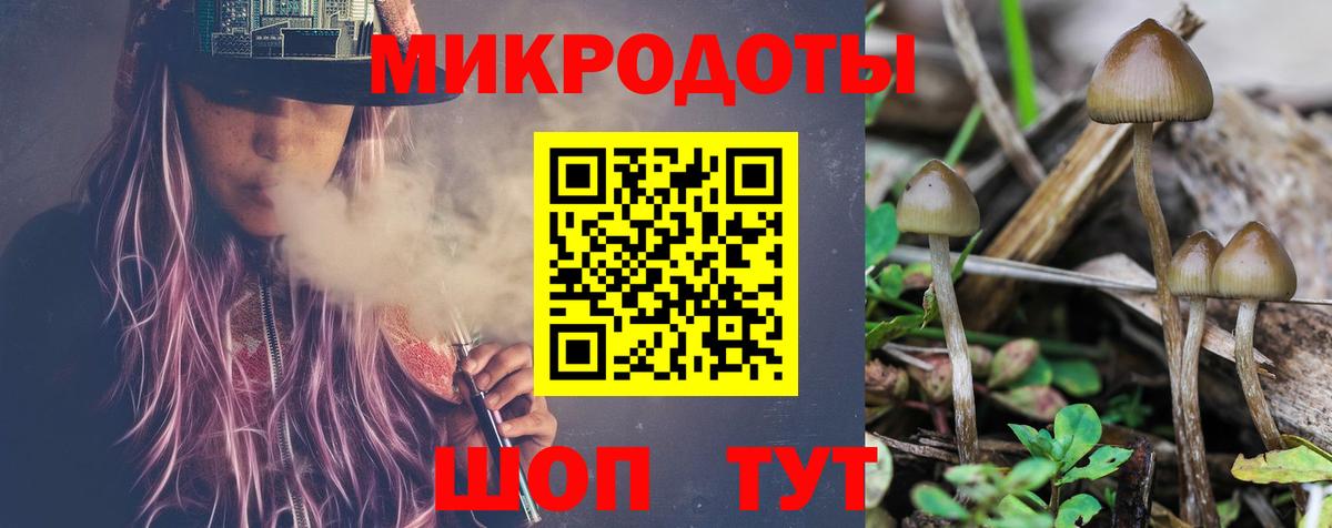 Галлюциногенные грибы Psilocybine cubensis Георгиевск